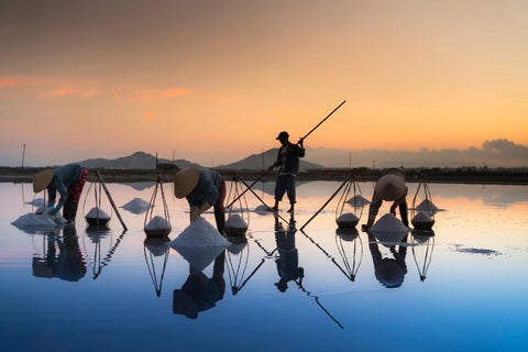 Salt harvest, Grace’ Routine