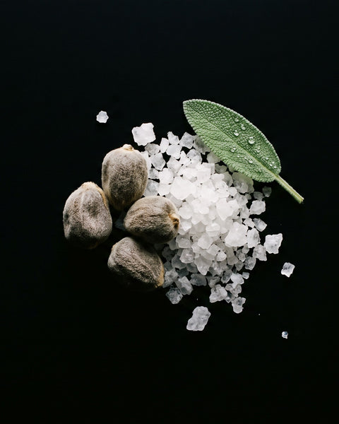 Ambrette seeds, sea salt and sage on black