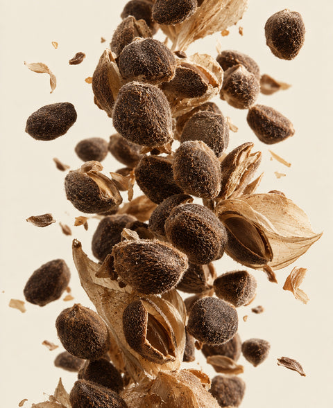 Ambrette seeds, ingredient of SALINE, Grace’ Routine