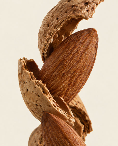 Bitter almond, ingredient of AURÉE, Grace’ Routine